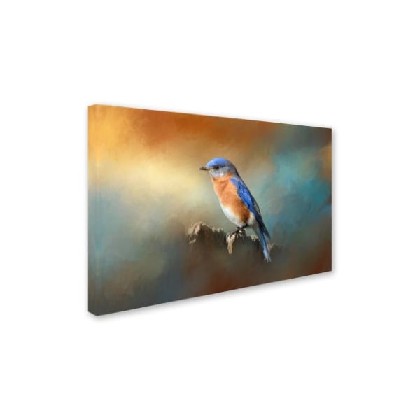 Jai Johnson 'Bluebird On The Fence' Canvas Art,16x24